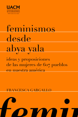 Feminismos desde Abya Yala - Ideas y proposiciones de las mujeres de 607 pueblos en Nuestra América
