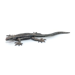Lézard commun - Papo