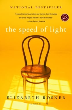 The Speed of Light - A Novel