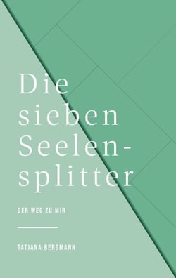 Die sieben Seelensplitter - DER WEG ZU MIR