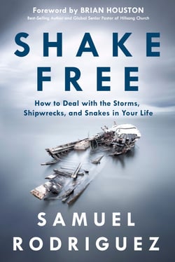 Shake Free - How to Deal with the Storms, Shipwrecks, and Snakes in Your Life