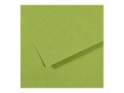 Feuille MI-TEINTES® Canson - 50 x 65 cm - 160g/m² - vert pomme