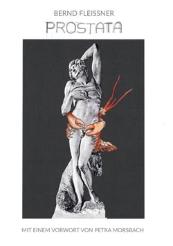 Prostata - mit einem Vorwort von Petra Morsbach