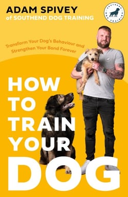 How to Train Your Dog - Transform Your Dog’s Behaviour and Strengthen Your Bond Forever