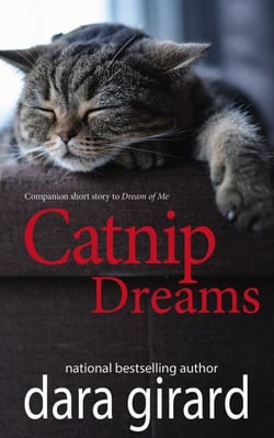 Catnip Dreams