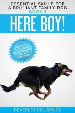 Here Boy! Step-by-step to a Stunning Recall from your Brilliant Family Dog - Essential Skills for a Brilliant Family Dog, #4
