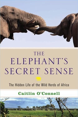 The Elephant's Secret Sense - The Hidden Life of the Wild Herds of Africa