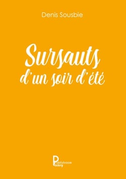 Sursauts d'un soir d'été - Roman