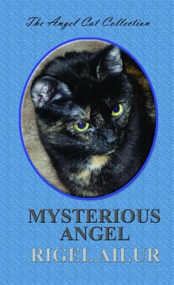 Mysterious Angel - Angel Cat Collection, #2