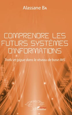 Comprendre les futurs systèmes d'informations - Trafic et gigue dans le réseau de base IMS