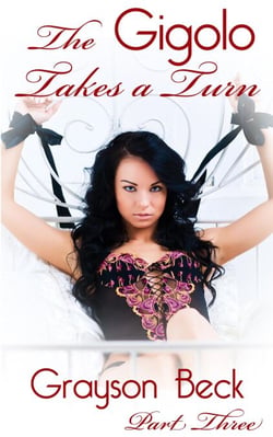 The Gigolo Takes a Turn - The Adventures of a Young Male Prostitute, #3