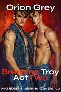 Breaking Troy: Act 2 [MM BDSM Straight-to-Gay Erotica] - Breaking Troy, #2