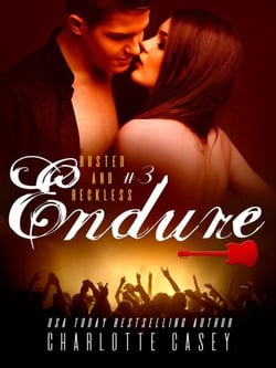Endure - Rusted and Reckless, #3