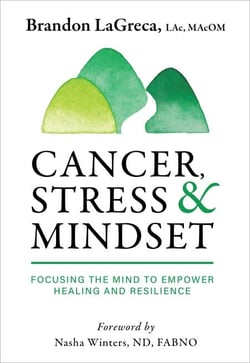 Cancer, Stress &amp; Mindset: Focusing the Mind to Empower Healing and Resilience