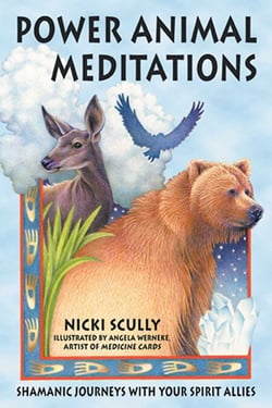 Power Animal Meditations - Shamanic Journeys with Your Spirit Allies
