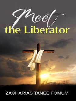 Meet The Liberator - God Loves You, #8