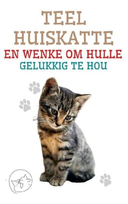 Teel Huiskatte en Wenke om Hulle Gelukkig te hou