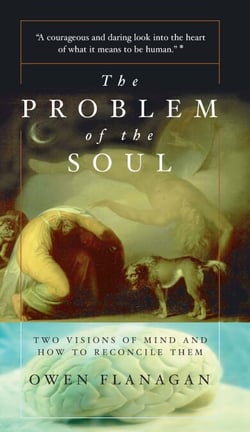 The Problem Of The Soul - Two Visions Of Mind And How To Reconcile Them
