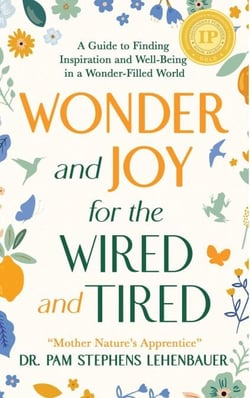 Wonder and Joy for the Wired and Tired