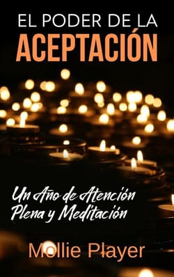 El Poder de la Aceptación - Un Año de Atención Plena y Meditación