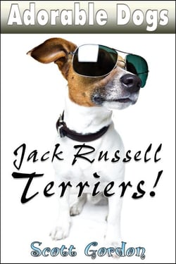 Adorable Dogs: Jack Russell Terriers - Adorable Dogs