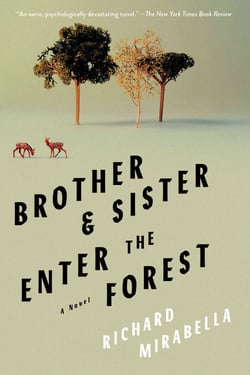 Brother &amp; Sister Enter the Forest - A Novel