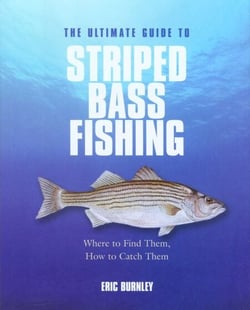 Ultimate Guide to Striped Bass Fishing - Where To Find Them, How To Catch Them