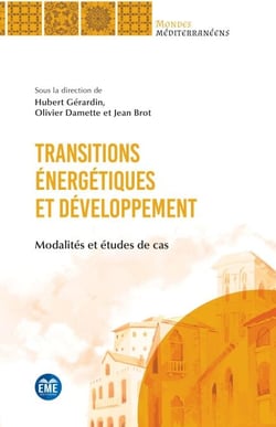 Transitions énergétiques et développement - Modalités et études de cas
