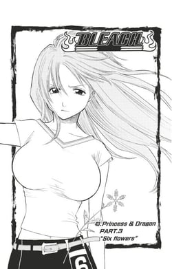 Bleach - T05 - Chapitre 43 - Princess &amp; Dragon PART. 3 "Six flowers"