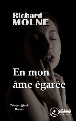 En mon âme égarée - Roman