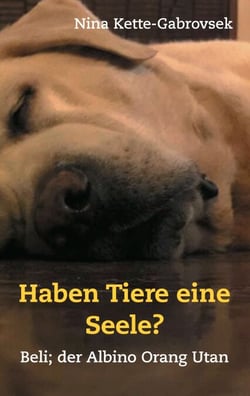 Haben Tiere eine Seele? - Beli, der Albino Orang Utan