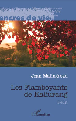 Les Flamboyants de Kaliurang - Récit