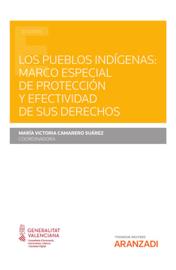 Los pueblos indígenas: marco especial de protección y efectividad de sus derechos