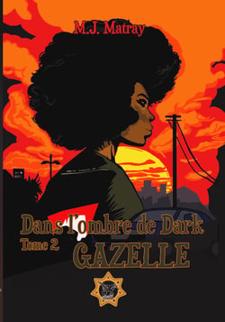 Dans l'ombre de dark - shérif mimish