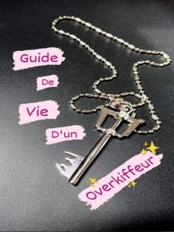 Guide de Vie d'un Overkiffeur