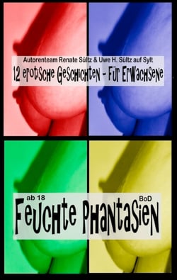 Feuchte Phantasien - 12 erotische Geschichten für Erwachsene
