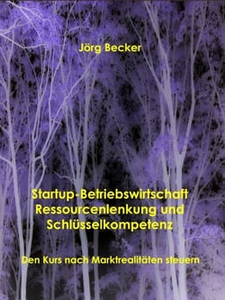 Startup-Betriebswirtschaft - Ressourcenlenkung und Schlüsselkompetenz - Den Kurs nach Marktrealitäten steuern