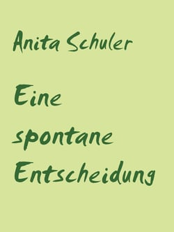 Eine spontane Entscheidung - 9 Erzählungen