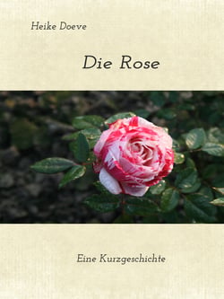 Die Rose