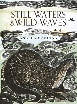 Still Waters &amp; Wild Waves - from beloved illustrator and printmaker Angela Harding