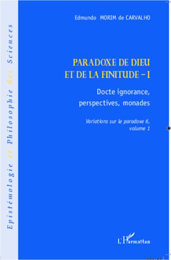 Paradoxe de Dieu et de la finitude (Volume 1) - Docte ignorance, perspectives monades