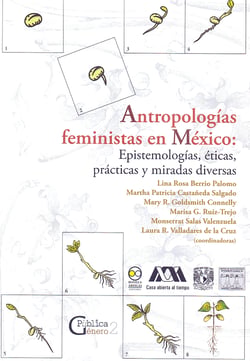 Antropologías feministas en México - Epistemologías, éticas, prácticas y miradas diversas