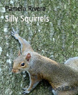 Silly Squirrels
