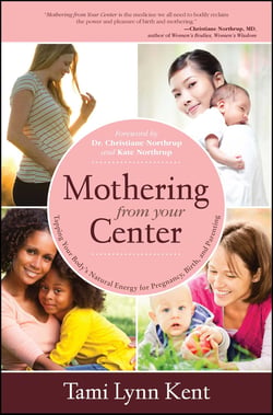 Wild Mothering - Finding Power, Spirit, and Joy in Birth and a Creative Motherhood
