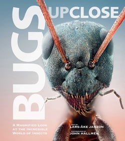Bugs Up Close - A Magnified Look at the Incredible World of Insects