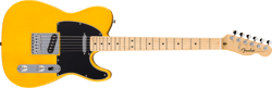 Guitare éléctrique Fender - Standard Telecaster® - Maple Fingerboard - Black Pickguard - Butterscotch Blonde