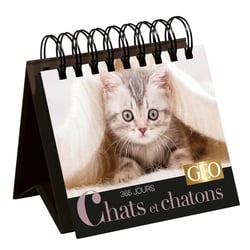 365 jours chats et chatons - calendrier Geo