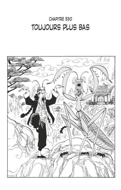 One Piece édition originale - Chapitre 530 - Toujours plus bas
