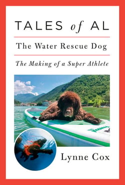 Tales of Al - The Water Rescue Dog