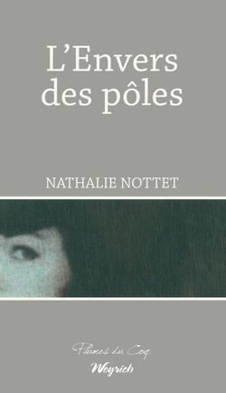 L'envers des pôles - Roman psychologique